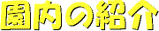 ̏Љ